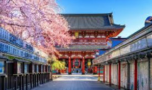 Top Destinations in Japan for Wellness & Yoga Retreat | Wellnivo - Find Tranquility in Japan’s Best Retreats