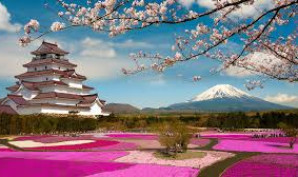 Why Go to Japan for a Meditation & Spiritual Trip | Wellnivo - Explore Japan’s Sacred Spaces for Inner Peace