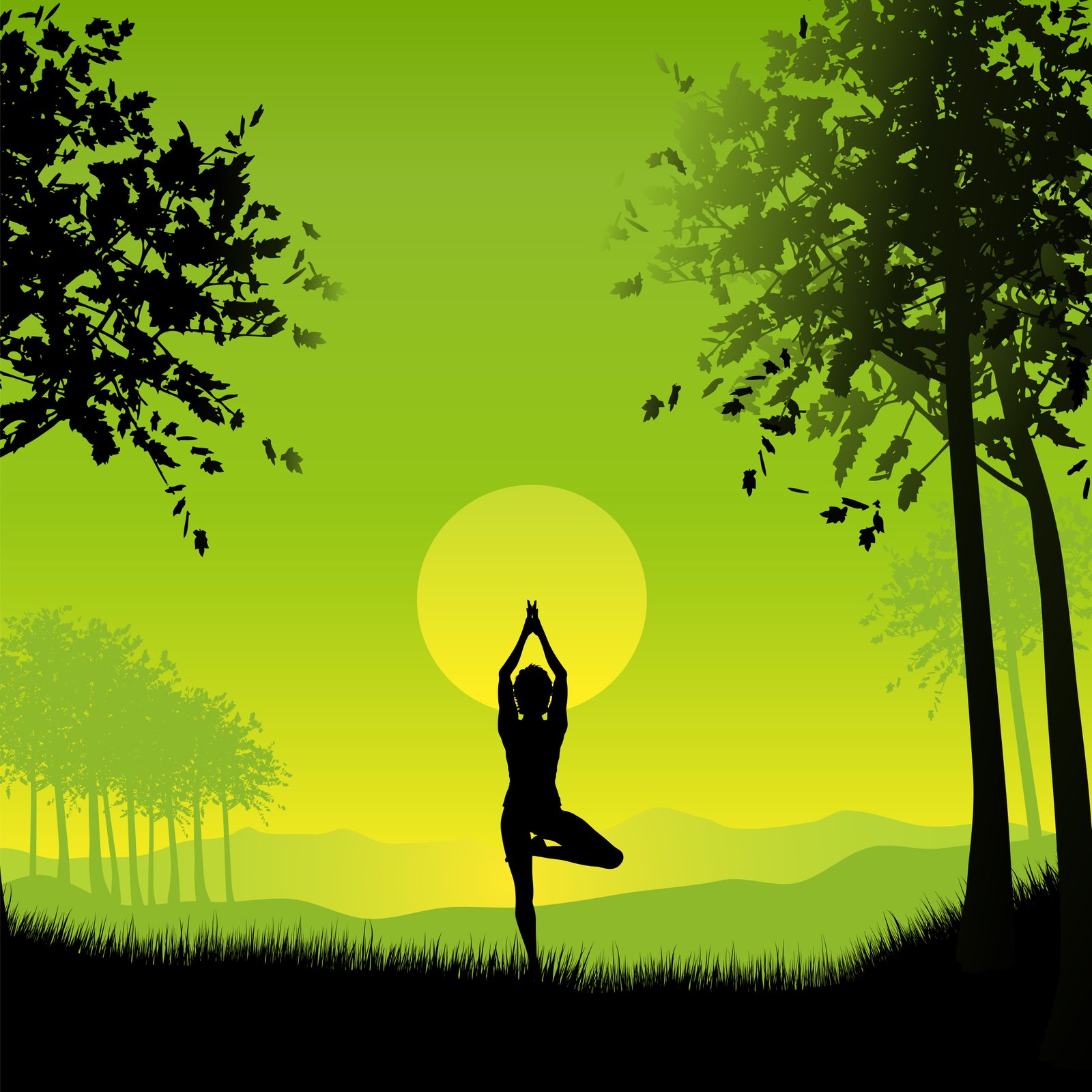 Yoga and Wellness at WellNivo